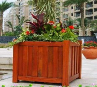 ����ľ��������c