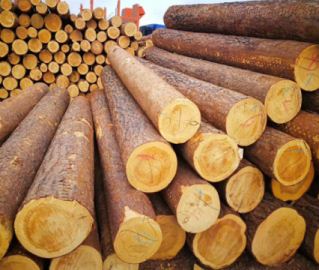 ����ľ�xُ��Ҫע������  ����