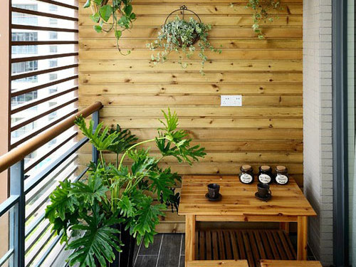 ����ľ�ă�ȱ�c