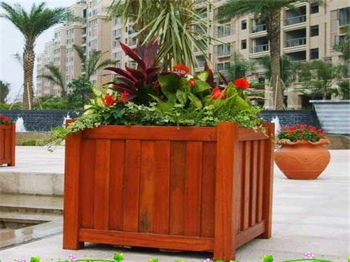 ����ľ���������Щ���c